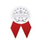 Het rode Lint gaf Zilveren het Merk van de de Verbindingenkoekoek van het Foliecertificaat Heet het Stempelen Type gestalte